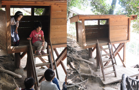 Hut