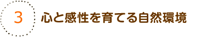 心と感性を育てる自然環境