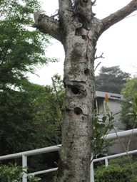 IMG_1719jyusan.JPG