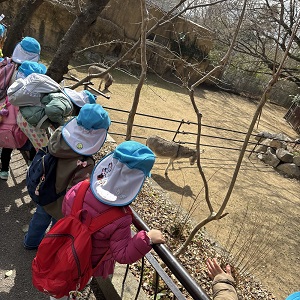 IMG_0aaaa011.JPG