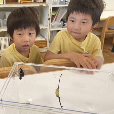 IMG_7111111754.JPG