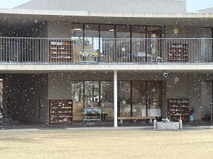 IMG_7aaaa269.JPG