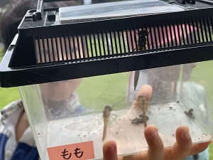 IMG_8あああ043.JPG