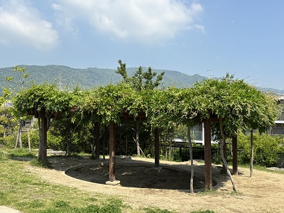 IMG_aaaa8995.JPG